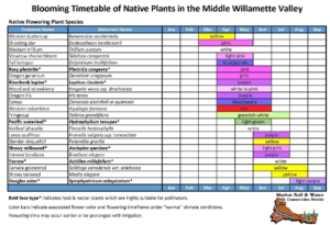 the front page of the blooming time table