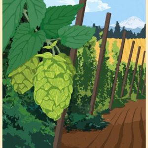 hops in foreground with hops field in mid ground and fields in back