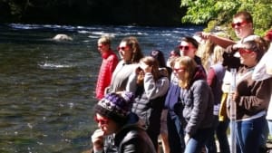 Students viewing salmon on field trip