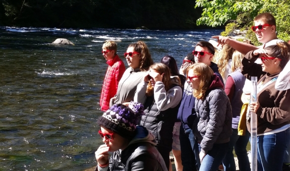 Students viewing salmon on field trip