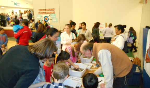 exploring the contents of a program bin at a science night