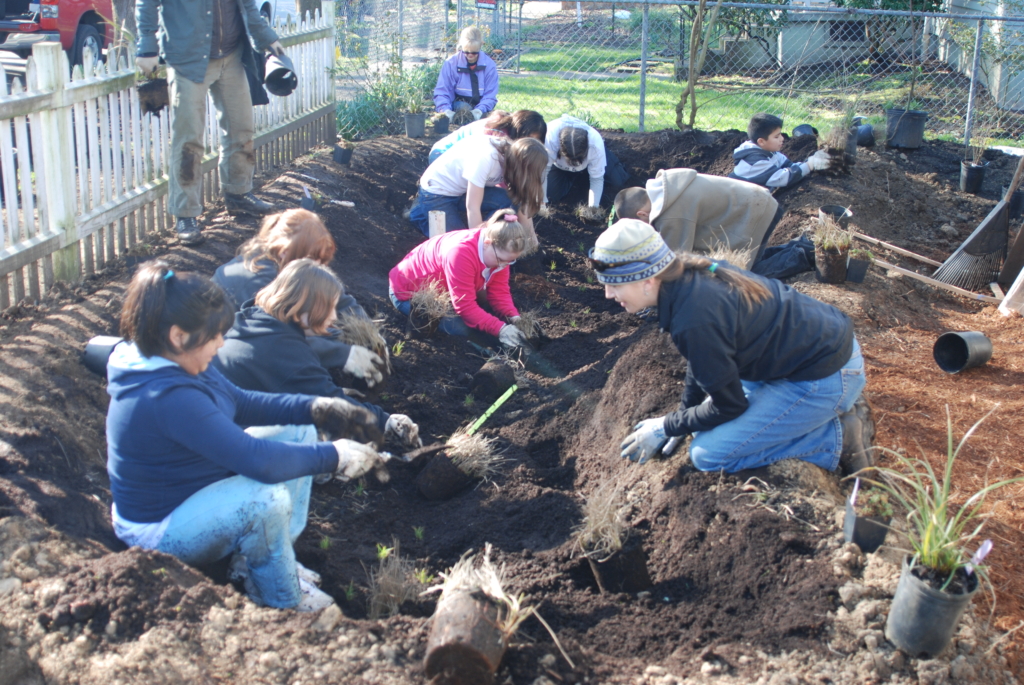 kids and adults planting a rain garden