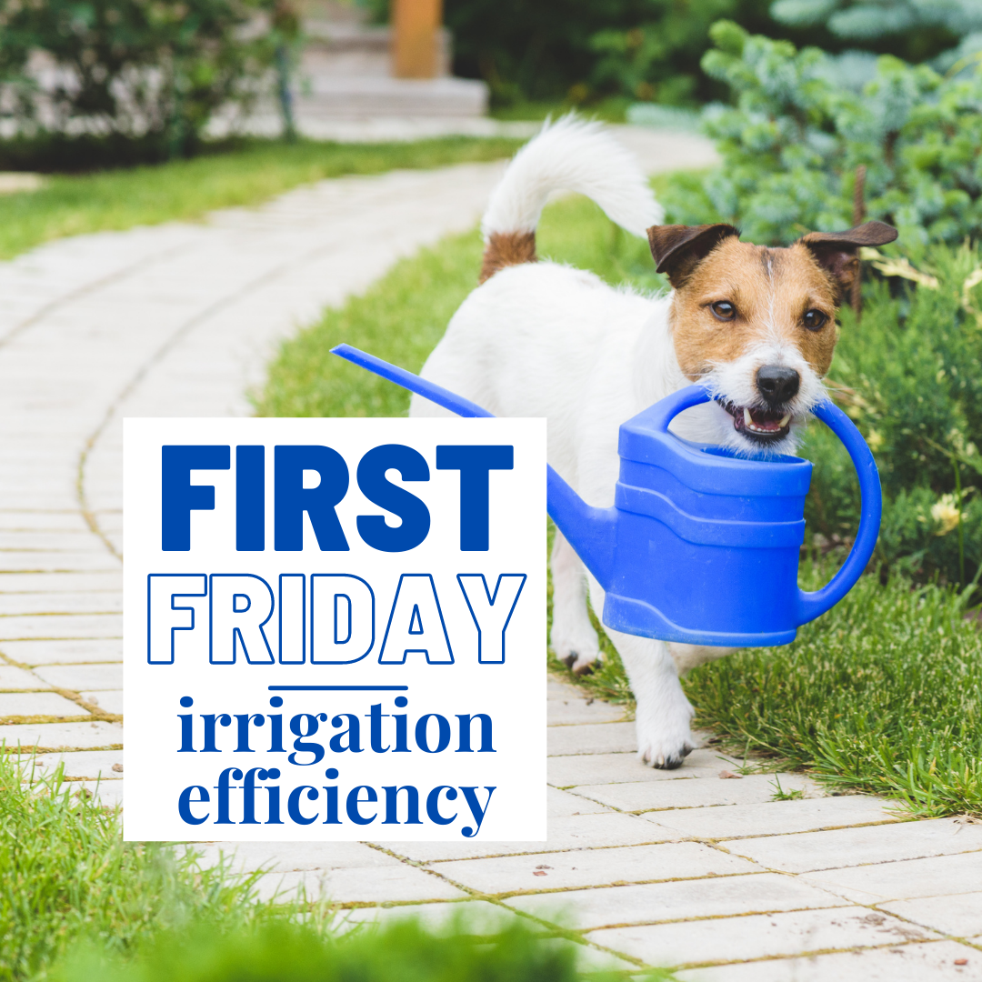 Dog carrying watering can image announceing irrigation efficiency talk