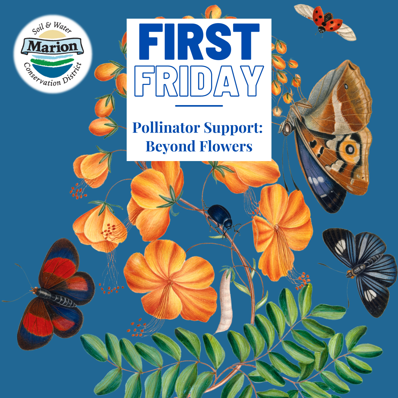 First Friday graphic for Pollinator Support talk by Matthew Shepherd. Several colorful butterflies and other insects on an orange flower.