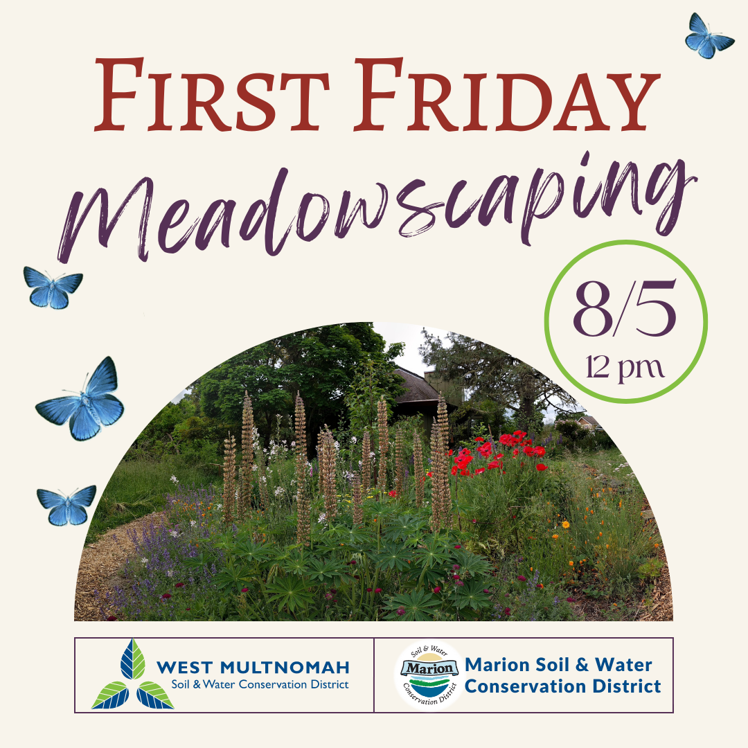 graphic announcing August 5 2022 12 pm First Friday on meadowscaping
