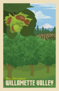 illustration of hazelnut orchard
