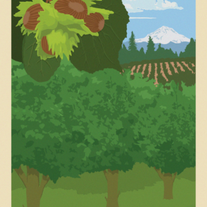 illustration of hazelnut orchard