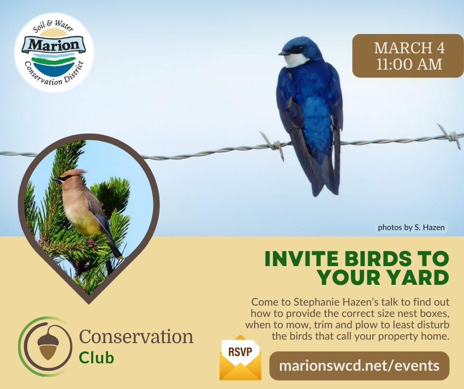 a cedar waxwing and a swallow, MSWCD logo and Conservation Club element, title and description of event
