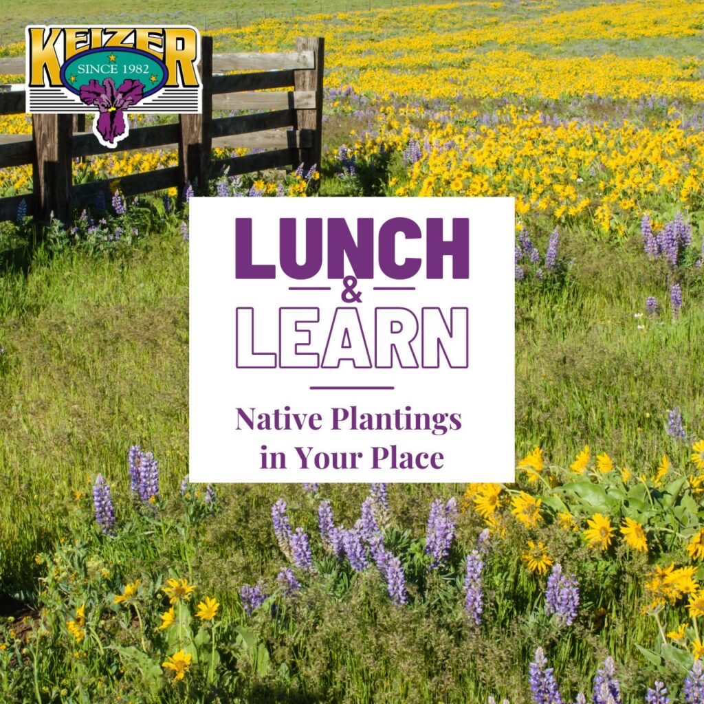 a fence and field with yellow and purple flowers and the talk title Native Plants for Your Place