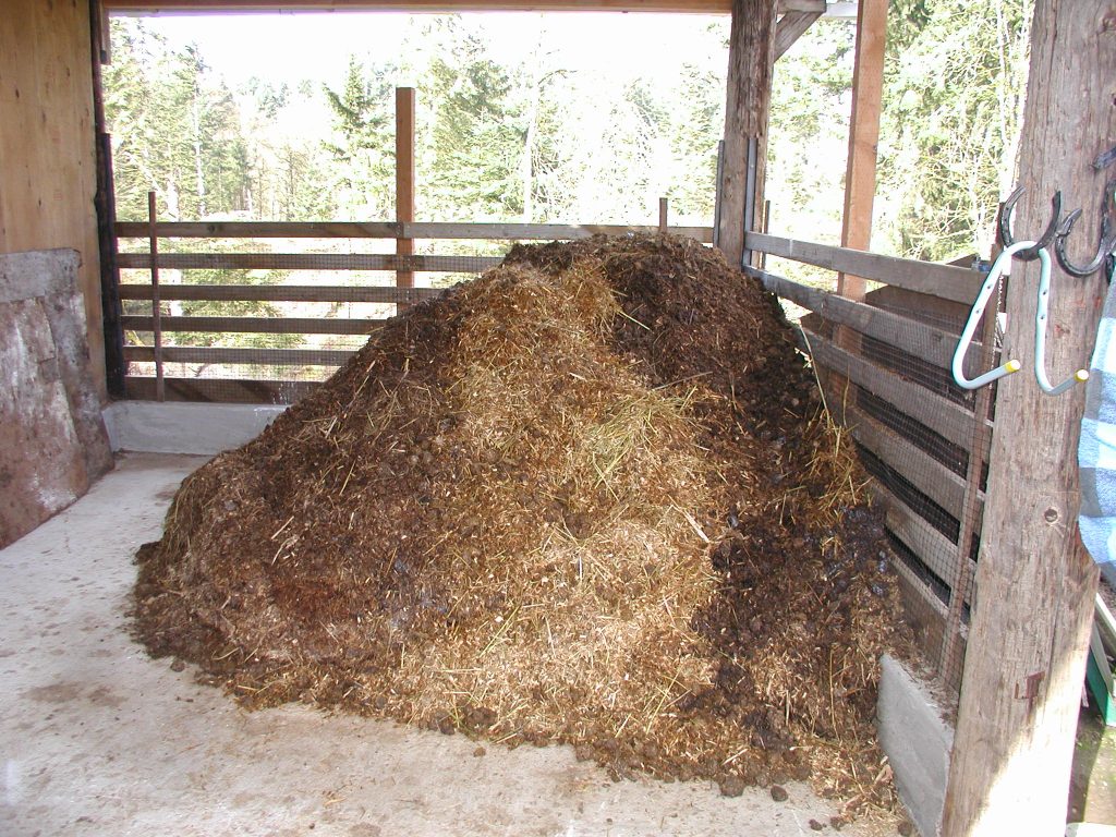 manure storage structure being put to good use.