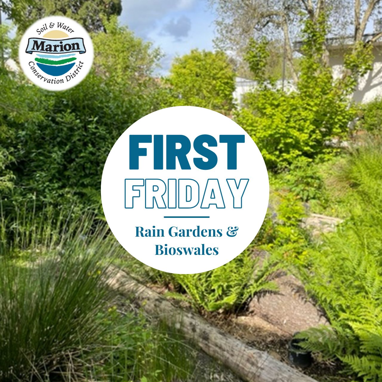 a rain garden that is very natural looking during the dry season