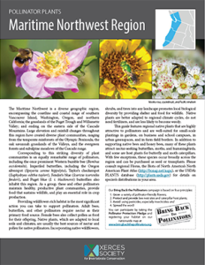 Cover of the pollinator plants fact sheet with bees and flowers at top and text at bottom