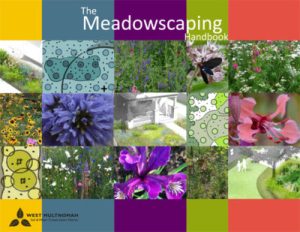 blocks of color across the cover with flower images and the title The Meadowscaping Handbook