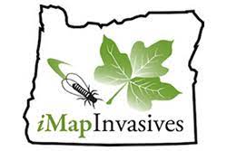 the state of Oregon with an insect and leaf and the words iMapInvasives.