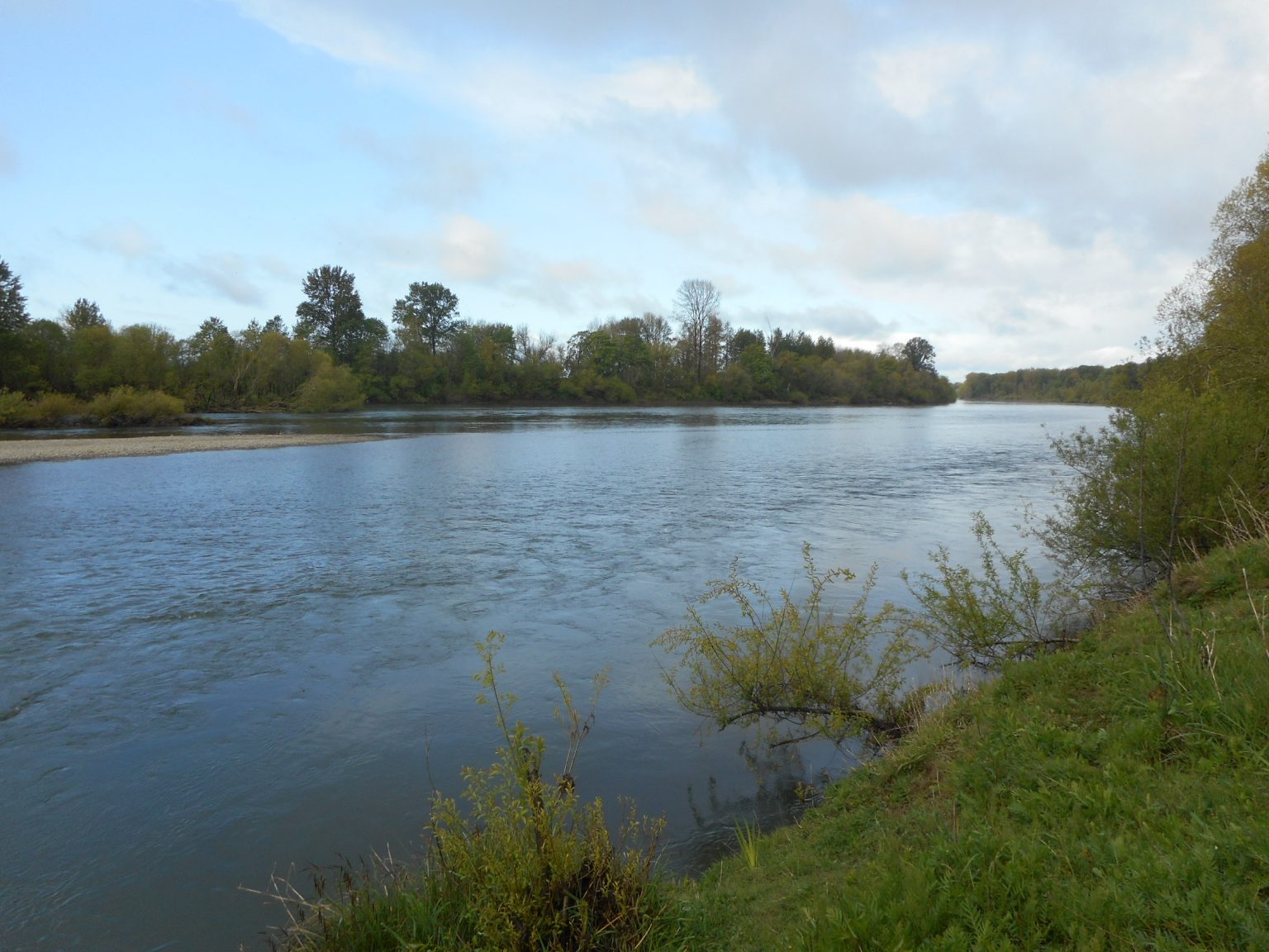 Habitats Marion SWCD