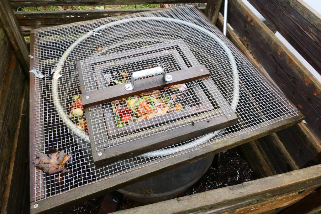 Stock tank compost bin covered with hardware cloth lid.