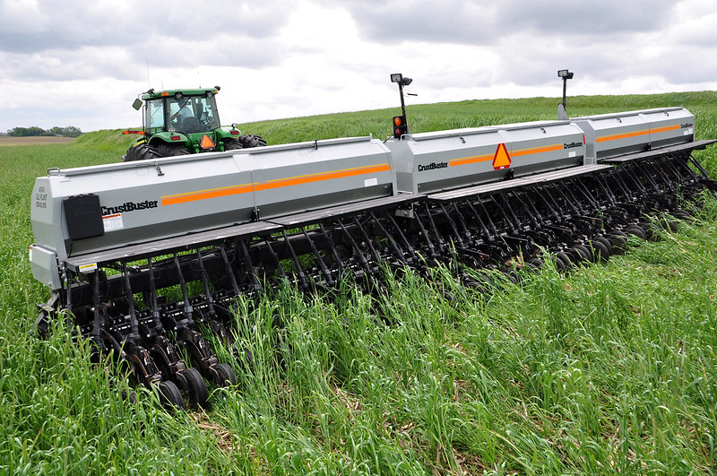 harvesting cereal rye in field