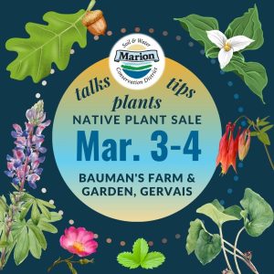 watercolor illustrations of oak leaf, acorn, trillium, lupine, rose, strawberry, wild ginger and columbine on a blue background. Central circle announces talks, tips, and plants at the Native Plant Sale at Bauman's Farm & Garden in Gervais, OR on March 3&4.