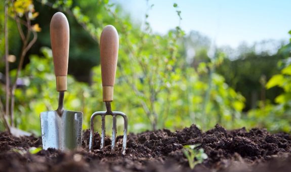 Two garden tools stuck in rich garden soil with greenery in the background a seedling in the foreground