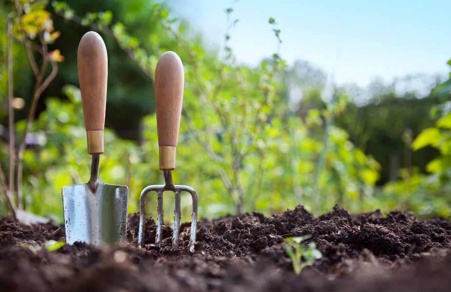 a couple short handled garden tools are stuck upright into dark brown organic rich garden soil