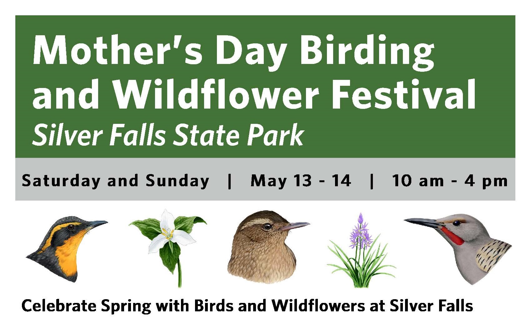 green banner with title Mother's Day Birding and Wildflower Festival Silver Falls State Park Saturday and Sunday May 13-14 10 am - 4 pm Celebrate Spring with Birds and Wildflowers at Silver Falls. with Camas, Trillium, and three bird heads as illustrations
