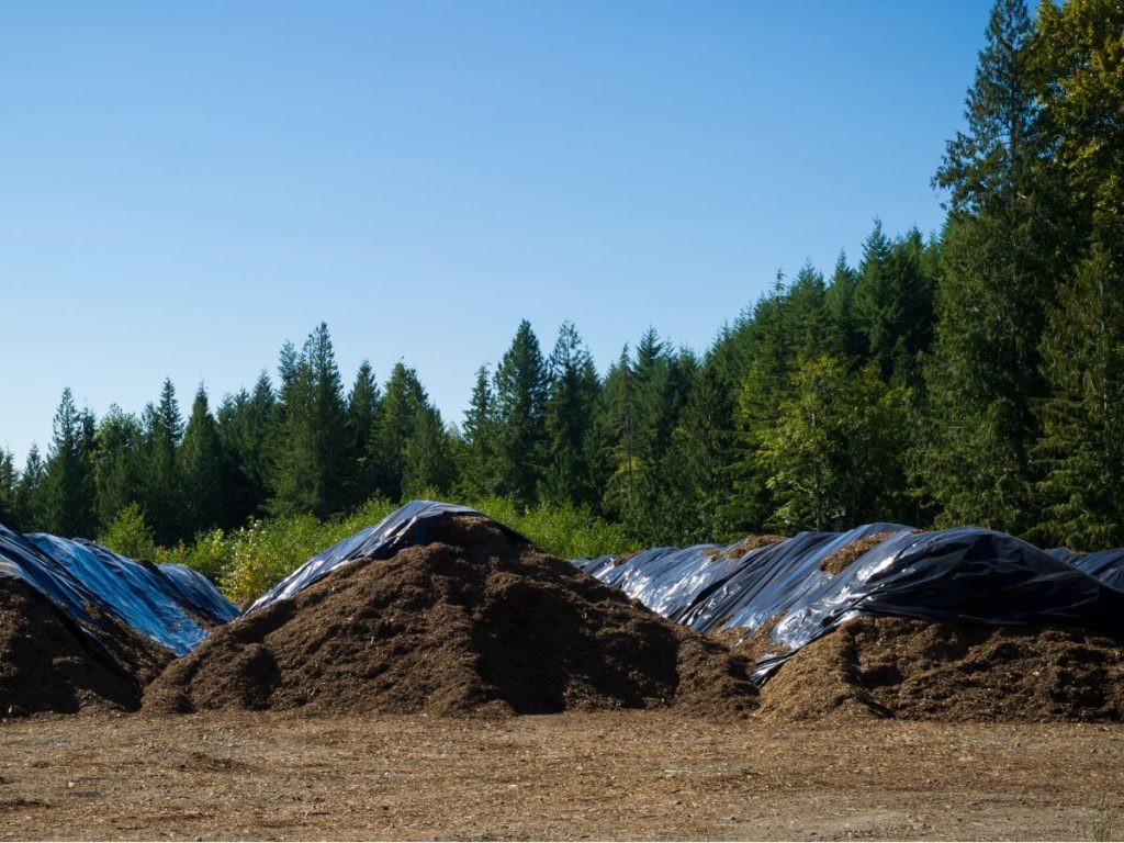 three rows of compost covered with black plastic.