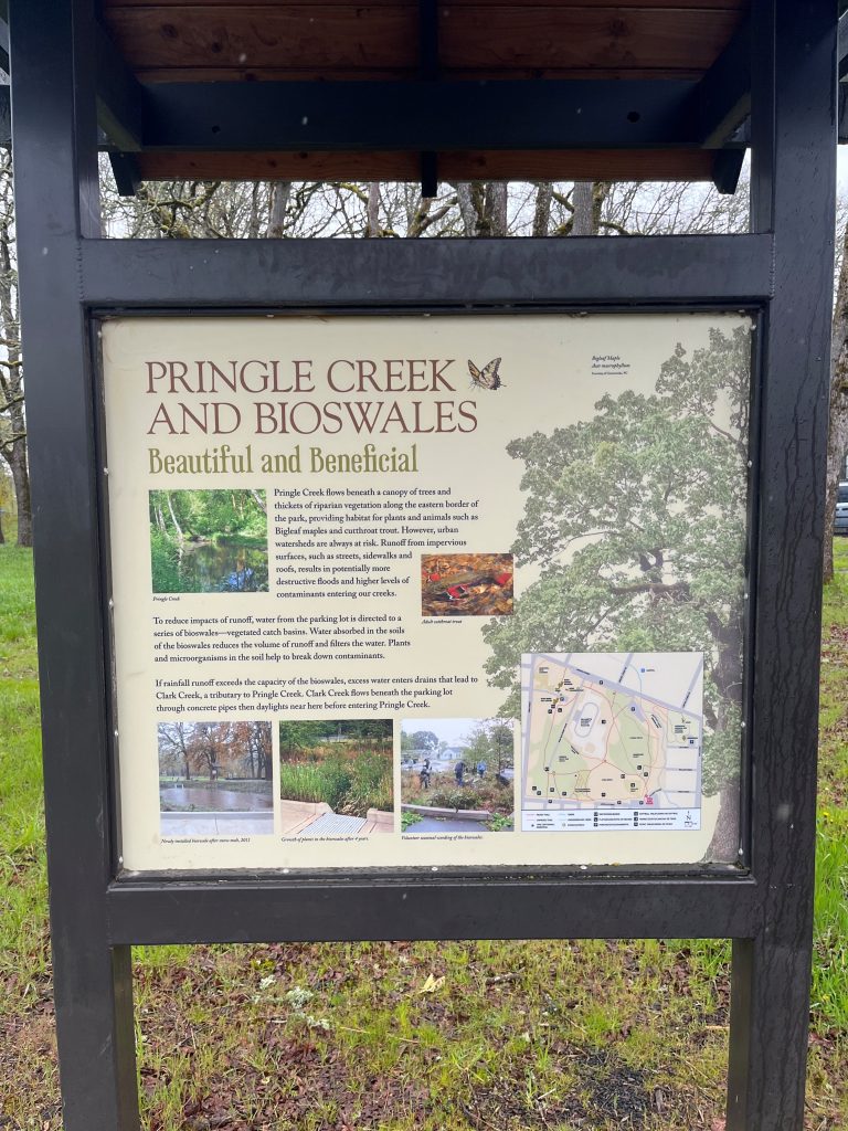 An interpretive sign at the park explains how the swales help protect Pringle Creek.