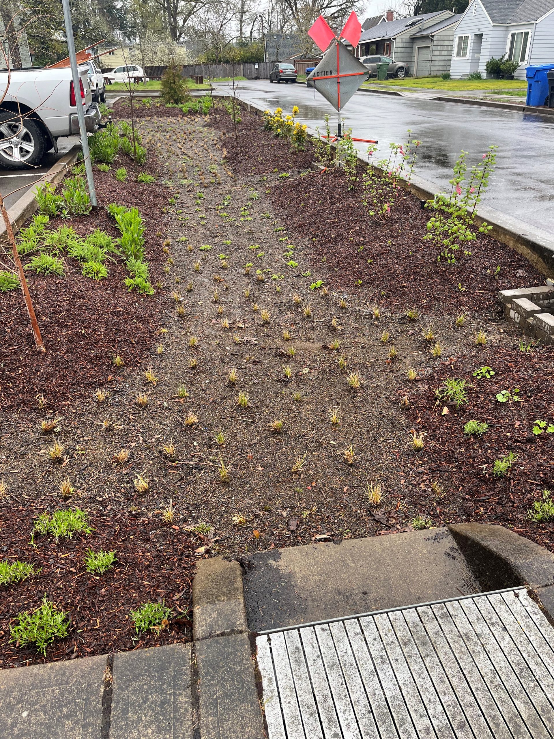 Why Install a Rain Garden? Marion SWCD