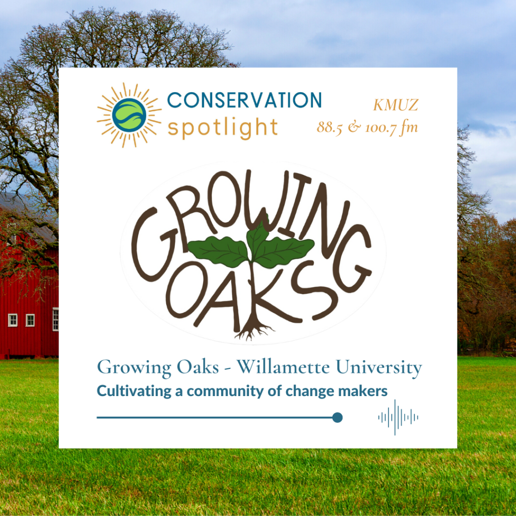 a square graphic with the Conservation Spotlight logo, the Growing Oaks logo with an image of a barn and oak tree behind the words. 