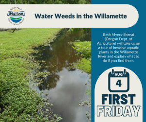 Ludwigia chokes a waterway. Text: Water Weeds in the Willamette. Beth Myers-Shenai will take us on a tour of aquatic invasives and what to do if you find them. Aug 4.