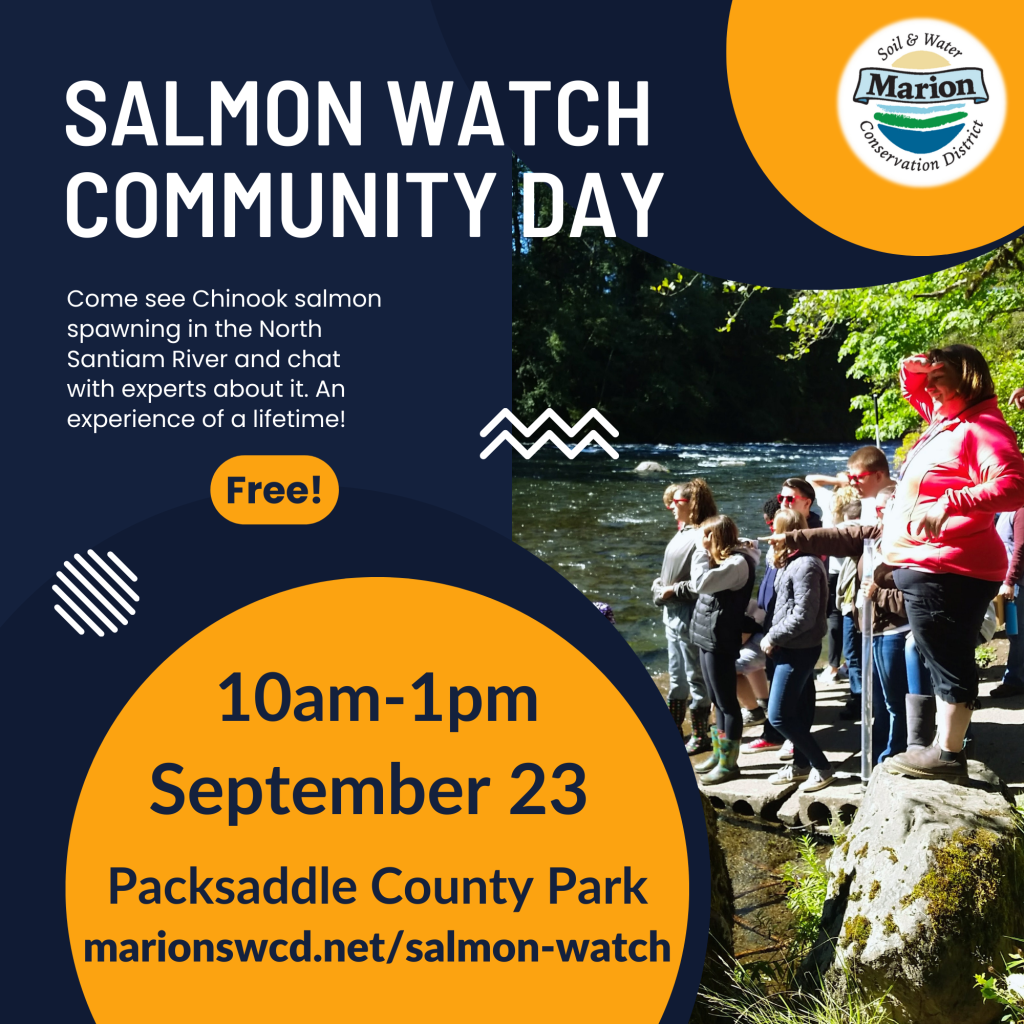a square graphic for Salmon Watch community day with the date, time and location and a picture of people standing on the riverbank looking at salmon spawning.