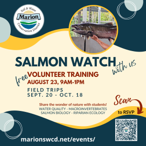 square salmon watch graphic with hands holding a large male chinook and words saying Salmon Watch with us free volunteer training August 23, 9am-1pm. Field trips Sept 20-Oct.18. Scan code to 