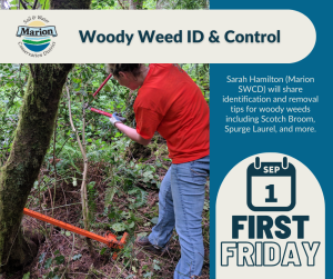 a volunteer in an orange shirt uses loppers to cut a woody weed from a forest understory. Weed wrench can be seen in photo as well.