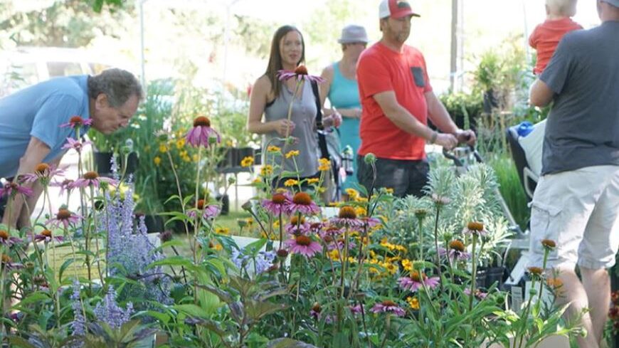 A crowd of people shopping at an outdoor plant sale.