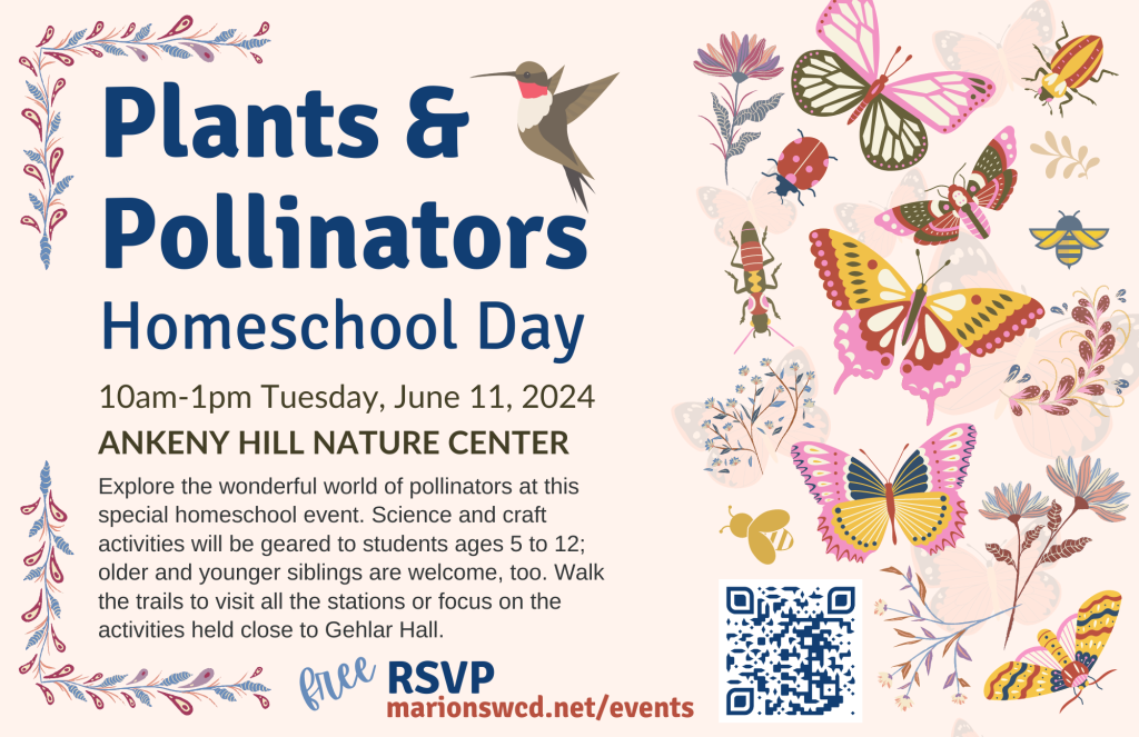 A graphic for Homeschool Day 2024 in dusky rose and blue with drawings of butterflies, moths, beetles, a hummingbird and the link to RSVP.
