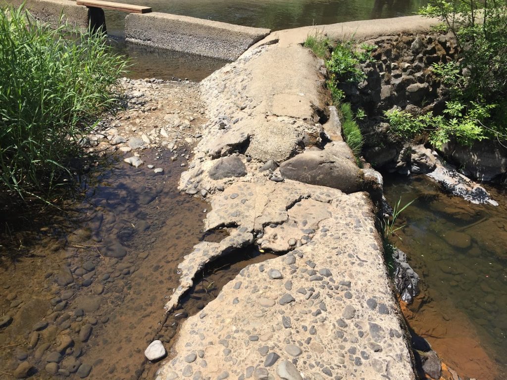 A close up of the crumbling concrete of the Scotts Mills Dam with cracks .