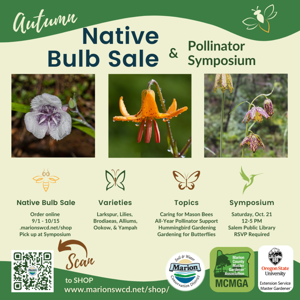 A square dark and light green graphic announcing the Autumn Native Bulb Sale  and Pollinator Symposium with photos of a mariposa lily, tiger lily and chocolate lily and info about the sale and symposium which can be found on the event pages.