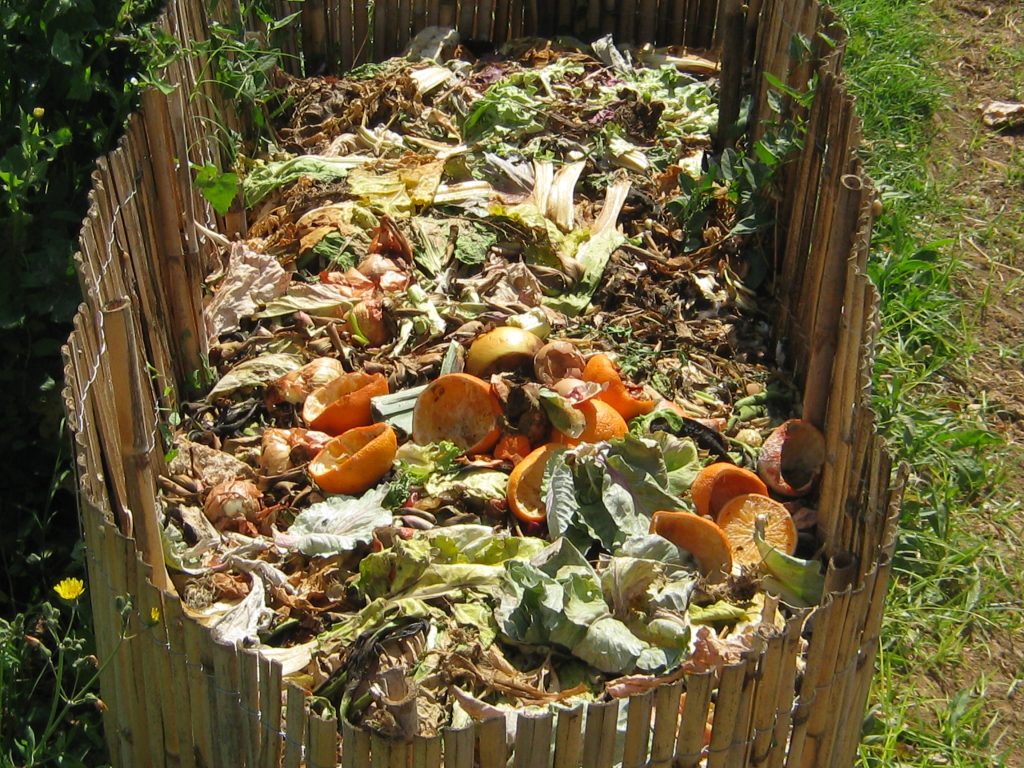 rotting kitchen scraps atop an outdoor compost pile.