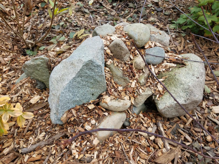A pile of different size rocks to support reptiles and amphibians. 