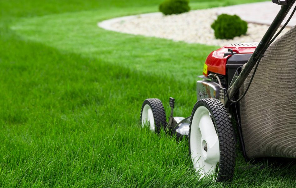 a red lawn mower mowing lush green grass.