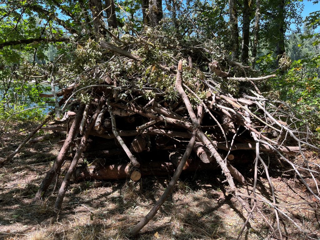 a pile of logs with smaller branches on top to support wildlife habitat.