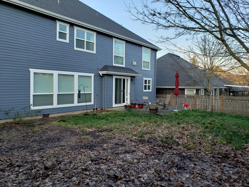 an empty backyard with a little bit of grass.