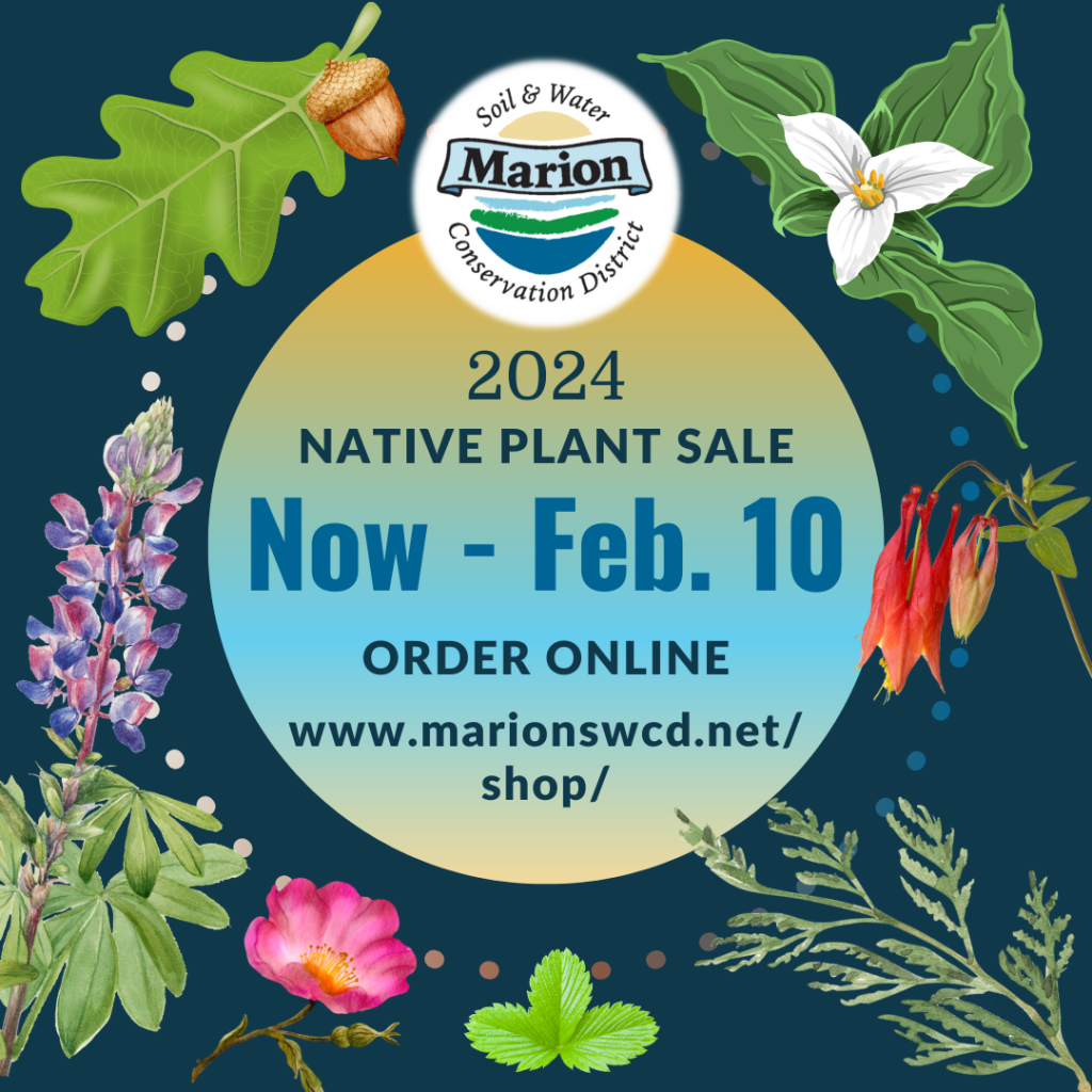 a square graphic with dark blue background and central light green and blue circle that announces the 2024 Native Plant Sale. Circle is surrounded by watercolor images of native plants - oak leaf and acorn, trillium, red columbine, wester redcedar, strawberry, rose, and lupine.