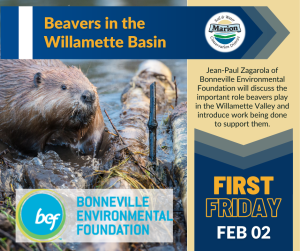 a beaver with a log in the water and the talk title and the talk description. February 2 First Friday: Beavers in the Willamette Basin by Jean-Paul Zagarola, Bonneville Environmental Foundation.