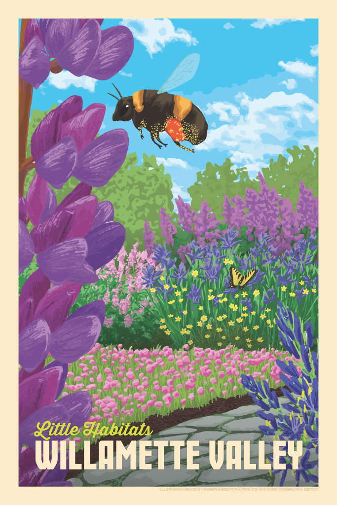 a 16x24 illustration of a garden full of native plants including lupine, rosy plectritis, camas, and buttercups with the words Little Habitats Willamette Valley.