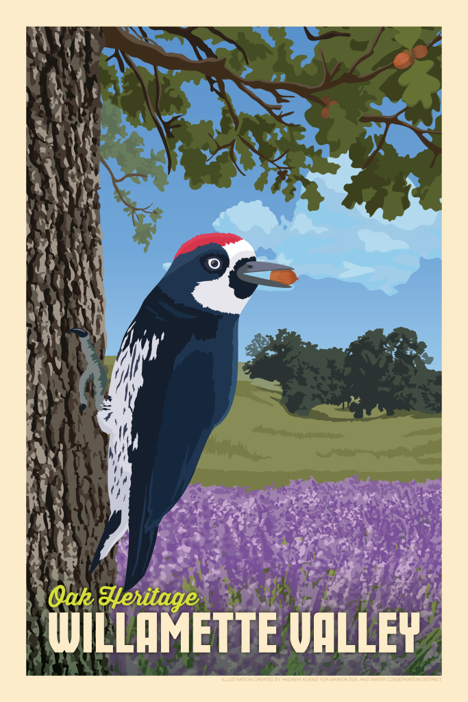 a 16x24 poster with an illustration of an Oregon White Oak and an acorn woodpecker with an oak woodland in background and a field of camas. At bottom has the words Oak Heritage Willamette Valley.