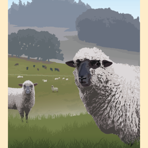 Sheep in a Willamette Valley Pasture. Dimensions are 16x24 with light tan border and the words Healthy Pasture Willamette Valley