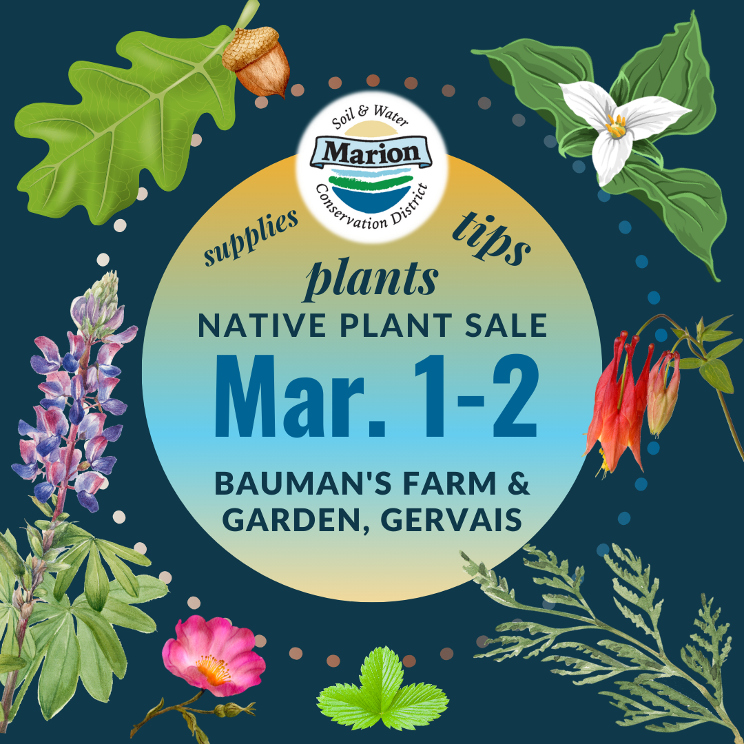 blue square graphic with water color images of native plants - oak, acorn, trillium, lupine, rose, strawberry, cedar, columbine advertising the March 1&2 native plant sale at Bauman's Farm & Garden