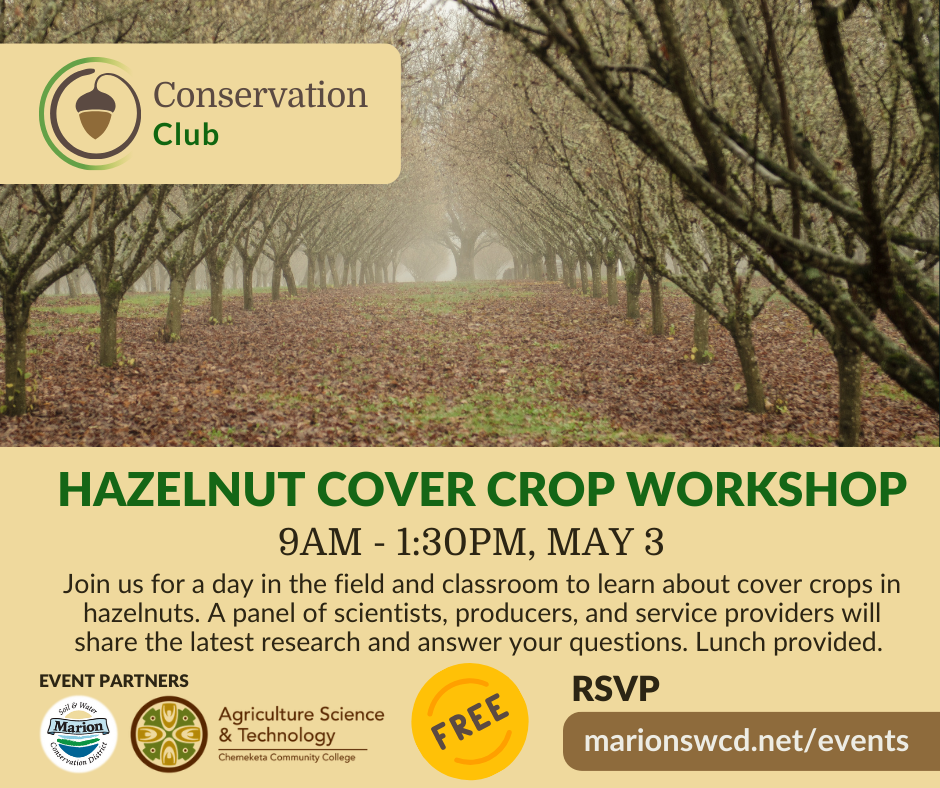 a graphic for the hazelnut cover crop workshop withthe event details and the conservation club acorn and a photo taken looking down between two rows of hazelnut trees with autumn foliage and grass on the ground