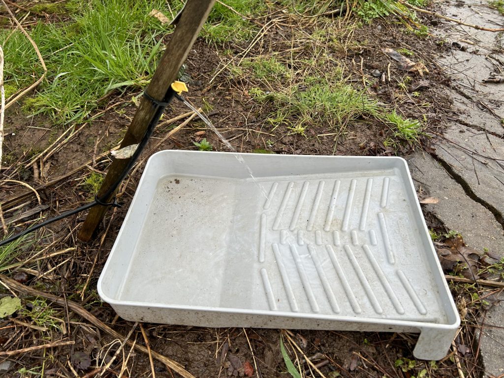 a paint tray getting filled from a drip irrigation system